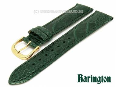 Watch band 16mm dark green by Barington genuine ostrich (leg) - Bild vergr��ern 