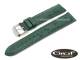 Watch band \
