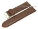 Watch band XL 26mm dark brown alligator grain (width of buckle 24 mm)
