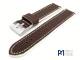 Watch band \