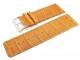 Watch band 30mm light brown alligator grain (width of buckle 28 mm)