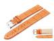 Watch band XL 24mm apricot alligator grain light stitching (width of buckle 22 mm)
