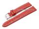 Watch band XL 24mm red alligator grain light stitching (width of buckle 22 mm)