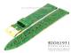 Watch strap 22mm green croco grain RIOS
