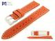 Watch band \