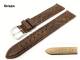 Watch band 19mm dark brown by Barington genuine ostrich (leg)