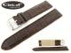 Watch band \