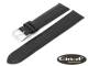 Watch band \