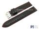 Watch band \