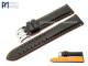 Watch band \
