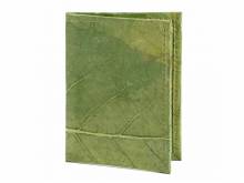 Reisepass-Etui/Ausweis- & Kartenetui aus nachhaltigem Blatt-Lederimitat grün VEGAN