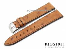 Watch band Maison 20mm light brown genuine ostrich with quills by RIOS (width of buckle 18 mm)