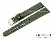 Watch strap Argentina Clip 12mm fixed bars green allig. grain RIOS (width of buckle 10 mm)