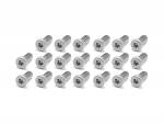 20tlg-Set Edelstahl-Schrauben silberfarben passend für verschraubte APPLE-Adapter